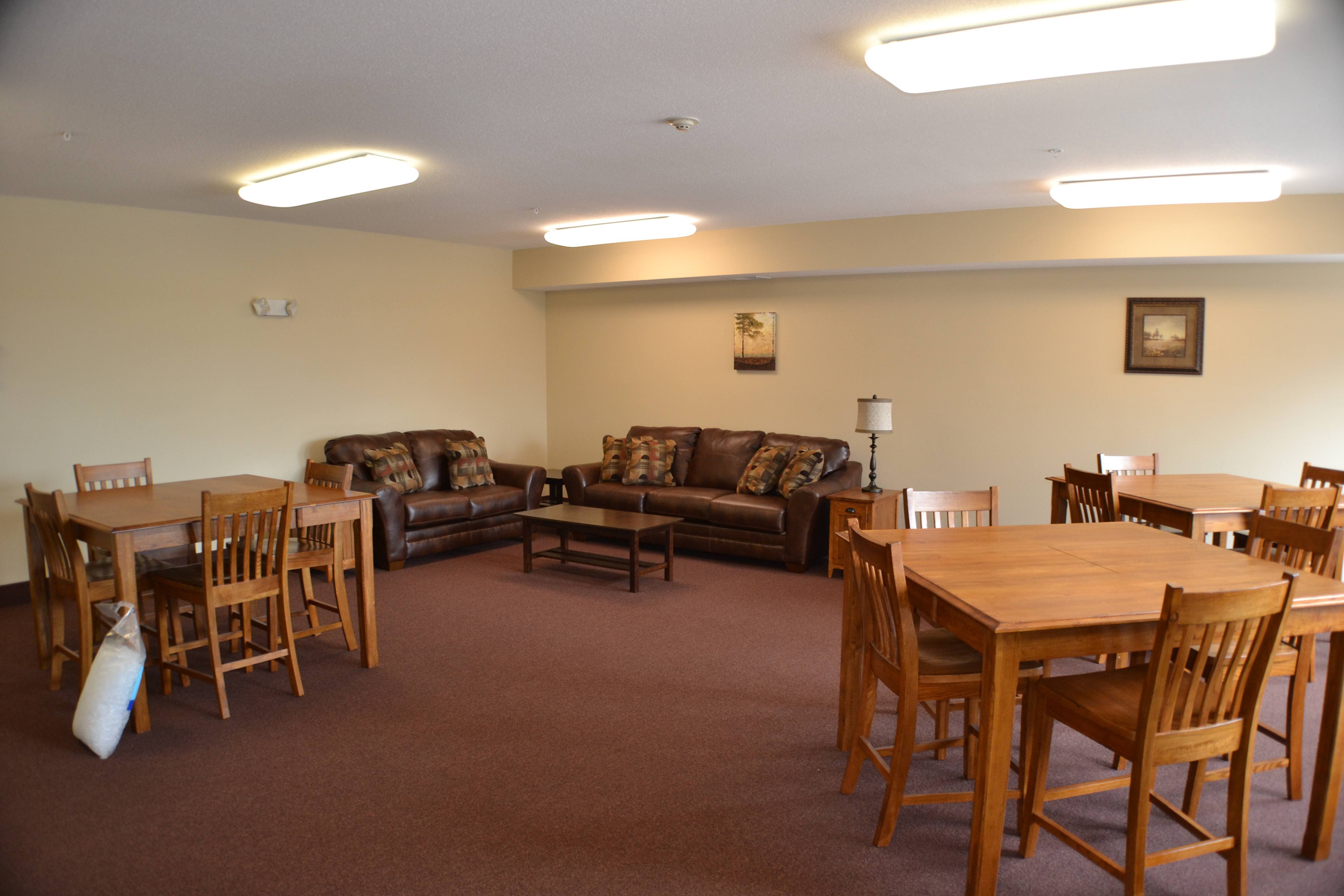 A living room with a brown carpet and furniture.,A living room with a brown carpet and furniture.